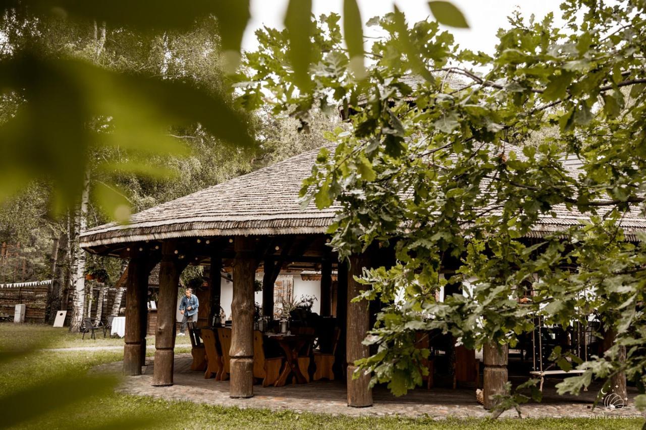 Maciejowka Borki 33 Villa ภายนอก รูปภาพ